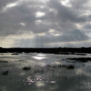 Pagham Harbour Local Nature Reserve