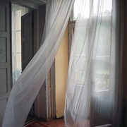 Curtains Blowing in the Wind