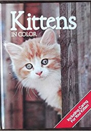 Kittens in Color (Anna Pollard)