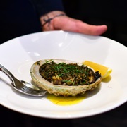 Blacklip Abalone (Haliotis Rubra)