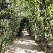 Giardino Di Boboli (Firenze) - Boboli Gardens (Florence)