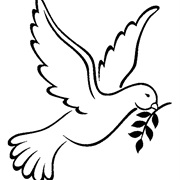 Participate in a Peace Event