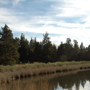 Target Rock National Wildlife Refuge