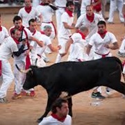 Running of the Bulls, Pamplona Spain