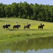 Trail Ride