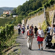 Rotweinwanderweg, North-Rhine-Westphalia