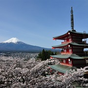 Fujigoko Area, Yamanashi