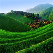 Longji Rice Terrace, China