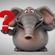 Questioning Elephant