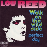 Lou Reed - Walk on the Wild Side / Perfect Day