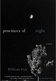Provinces of Night (William Gay)