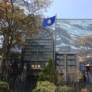 Dark Knight (Six Flags Mexico, USA)