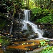 Oakland Run Waterfalls