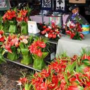Hilo Farmers Market