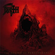 Flesh and the Power It Holds - Death