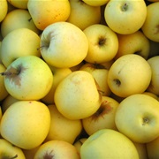 White Winter Pearmain