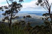 Mount Imlay National Park (NSW)