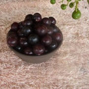 Little Gooseberry Tree (Buchanania Arborescens)