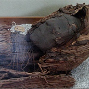 Chinchorro Mummies