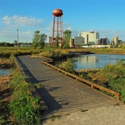 Scioto Audubon