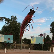 Big Prawn, Kalis Fisheries, Exmouth WA