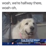 Whoa, We're Halfway There