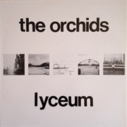 The Orchids-Lyceum