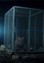 Corfu as Lizzie (Mandy) (2018)