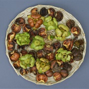 Cymbopetalum Penduliflorum