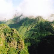 Laurisilva of Madeira