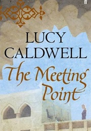 The Meeting Point (Lucy Caldwell)