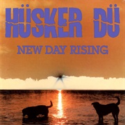 Celebrated Summer - Husker Du