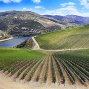 Ribera Del Duero Spain