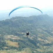 Gone Paragliding