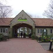 Clarks Shopping Village, Street