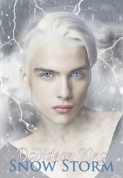 Snow Storm (Haven Hart Universe #5) (Davidson King)
