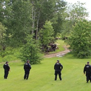 Chased by 10 Police or More