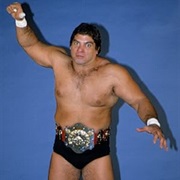 Don Muraco