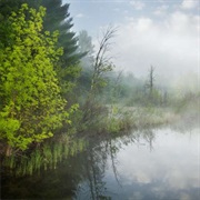 Two Inlets State Forest, Minnesota