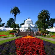 San Francisco Botanical Garden