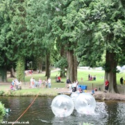 River Dart Country Park