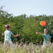Play Frisbee
