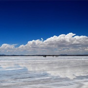 Salares, Atacama, Chile