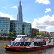 Thames River Trip