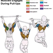 Be Able to Do 5+ Pullups