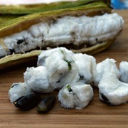 Ice-Cream-Bean / Joaquiniquil (Inga Edulis)