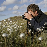 Have a Photography Job