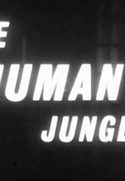 Skeleton in the Cupboard (1964)