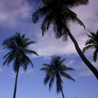 Dominica, Nature Island of the Caribbean