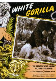 The White Gorilla